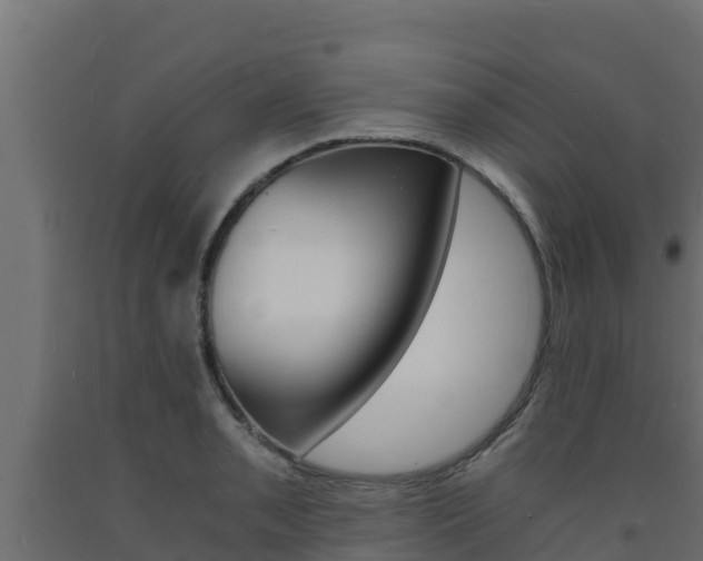 X0000093731085200710160808
