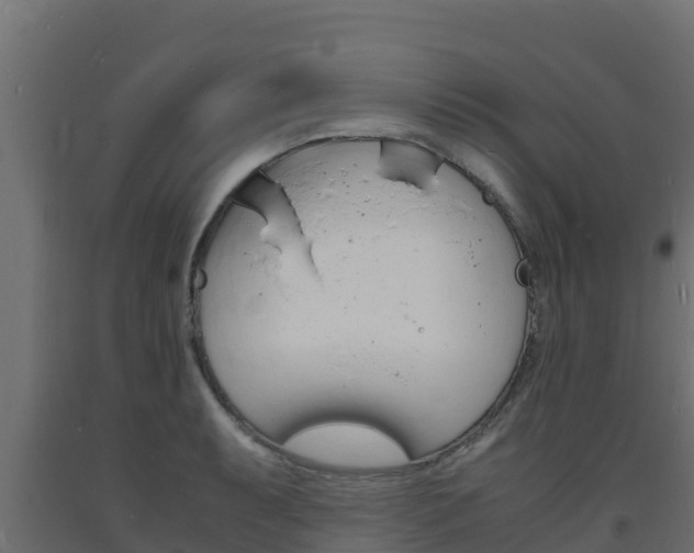 X0000093731087200710160808