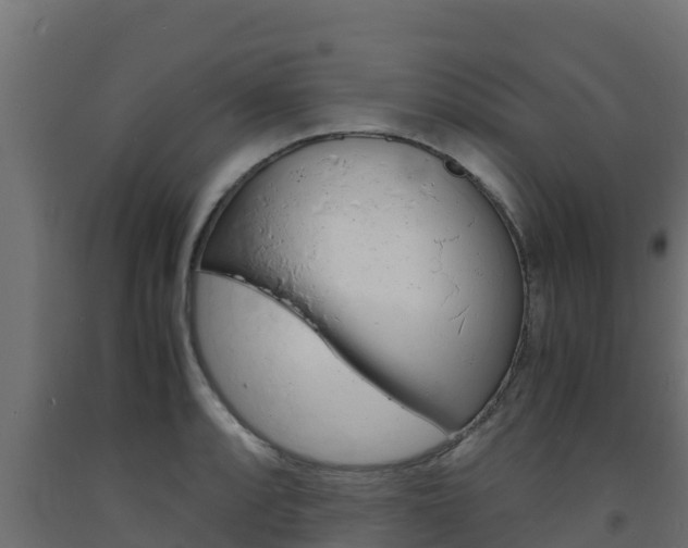 X0000093731088200710160808