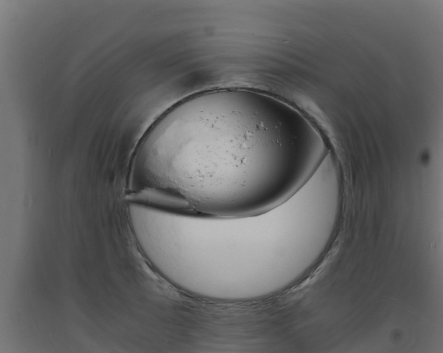 X0000093731089200710160808