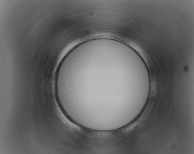 X0000093731090200710160808