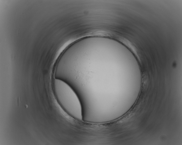 X0000093731091200710160808