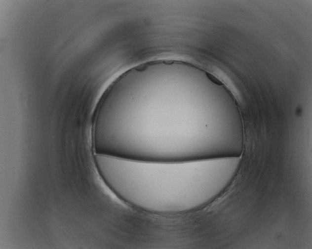 X0000093731092200710160808