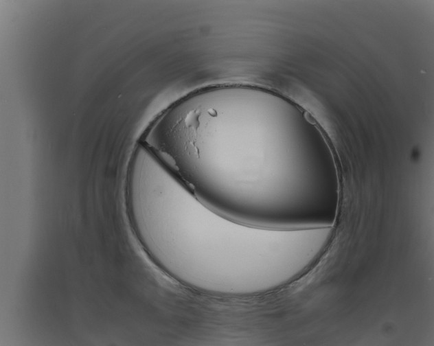X0000093731093200710160808