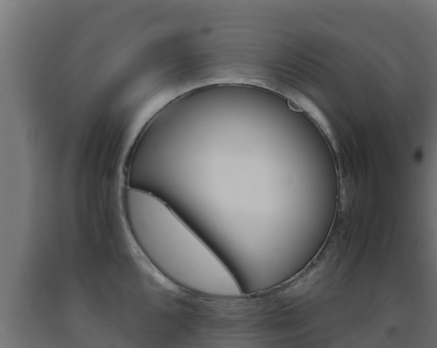 X0000093731096200710160808
