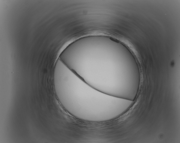 X0000093731097200710160808