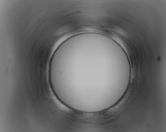 X0000093731098200710160808