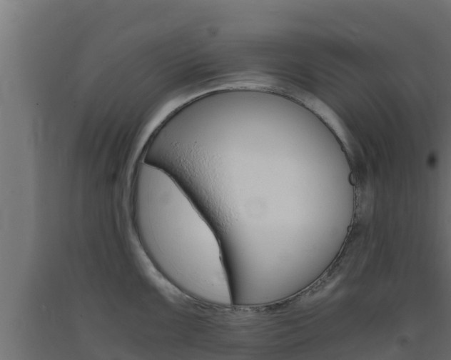 X0000093731099200710160808