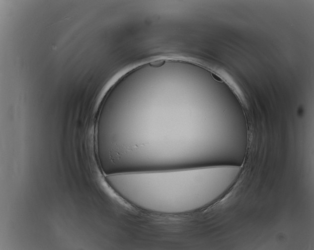 X0000093731100200710160808