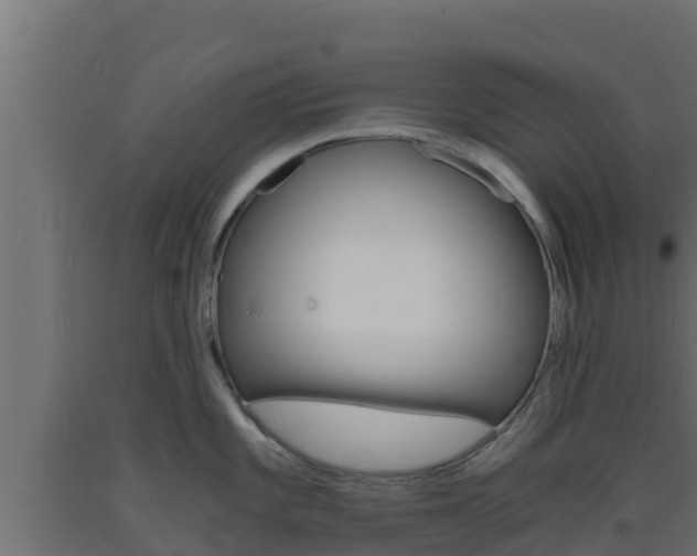 X0000093731101200710160808