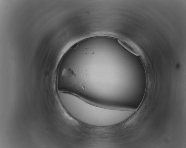 X0000093731102200710160808