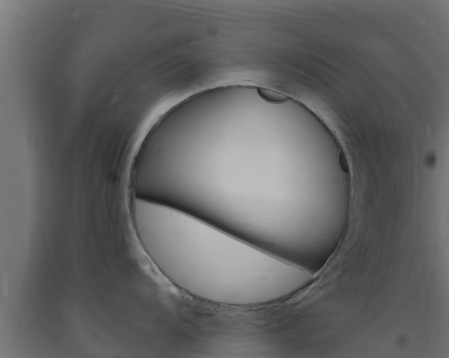 X0000093731104200710160808
