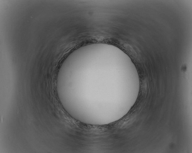 X0000093731105200710160807
