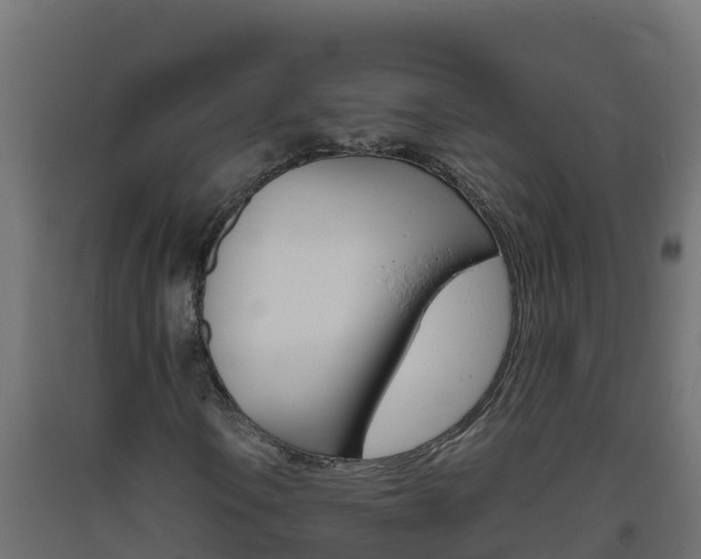 X0000093731106200710160807