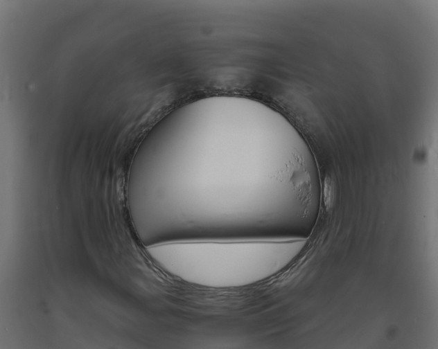 X0000093731107200710160807