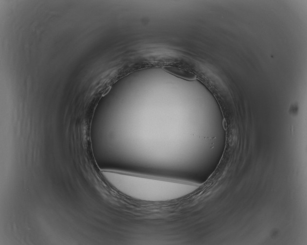 X0000093731108200710160807