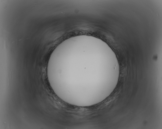 X0000093731109200710160807