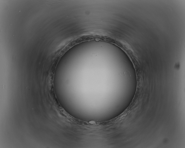 X0000093731110200710160807