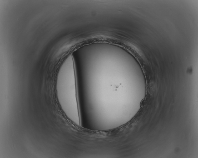 X0000093731111200710160807