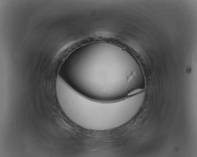 X0000093731112200710160807