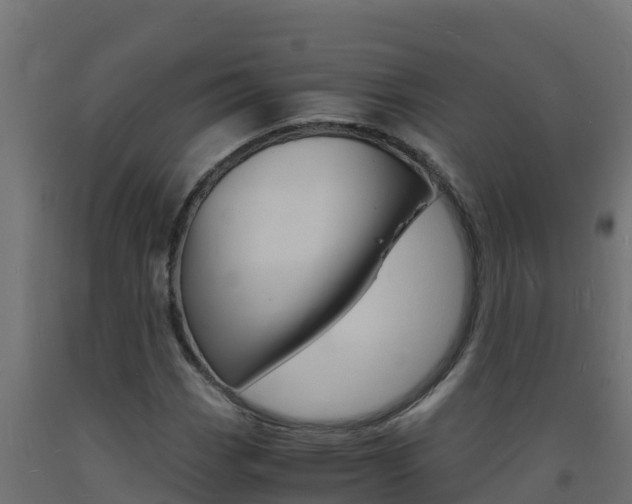 X0000093731113200710160807