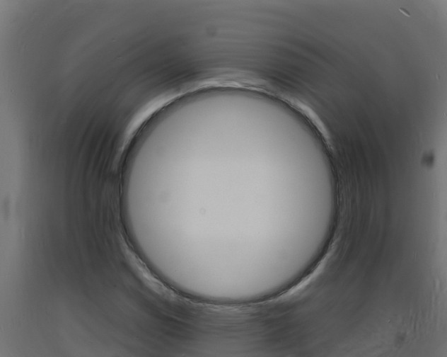 X0000093731114200710160807