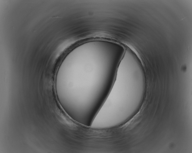X0000093731115200710160807