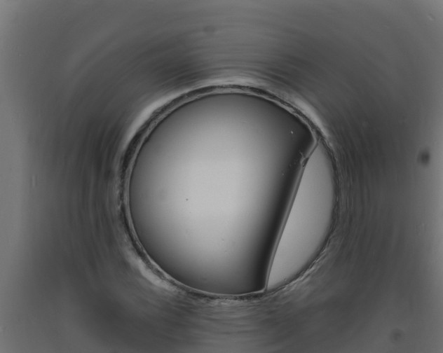 X0000093731116200710160807