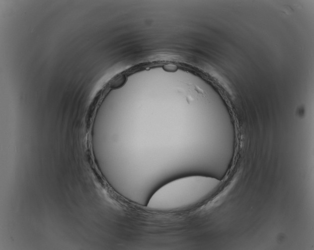 X0000093731117200710160807