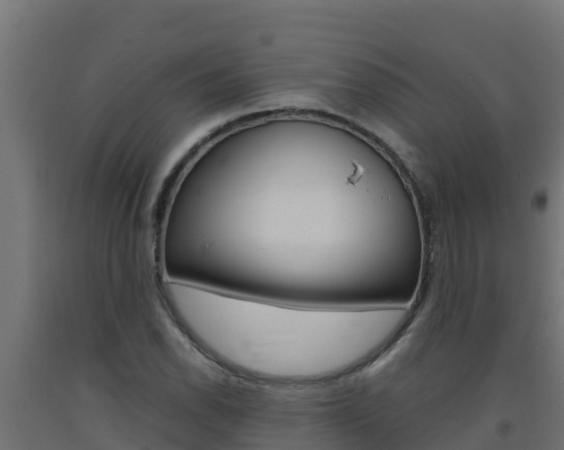 X0000093731118200710160807