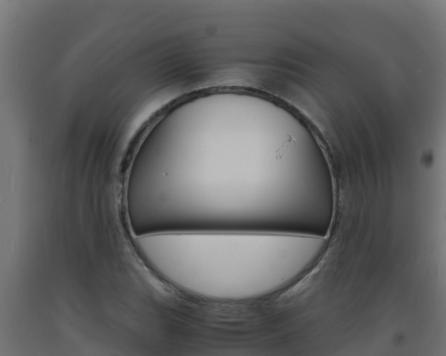 X0000093731119200710160807
