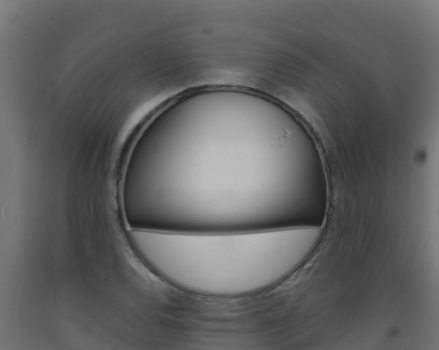 X0000093731120200710160807