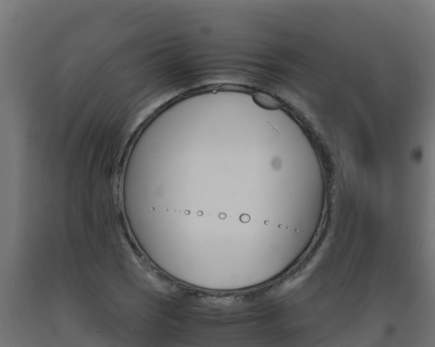 X0000093731121200710160807