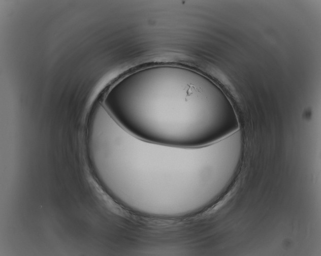 X0000093731122200710160807