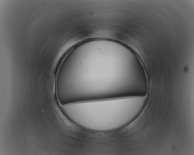 X0000093731123200710160807