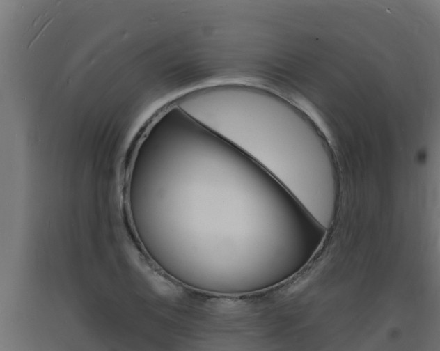 X0000093731124200710160807