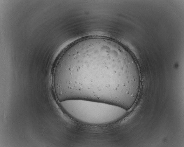 X0000093731125200710160807