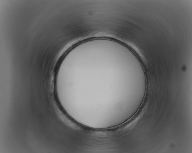 X0000093731126200710160807