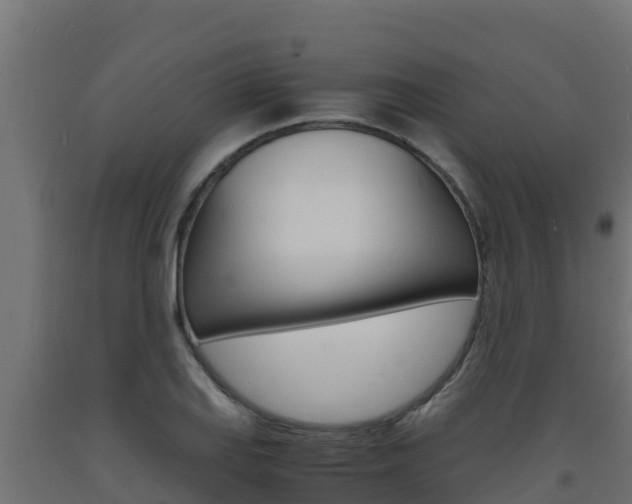 X0000093731127200710160807