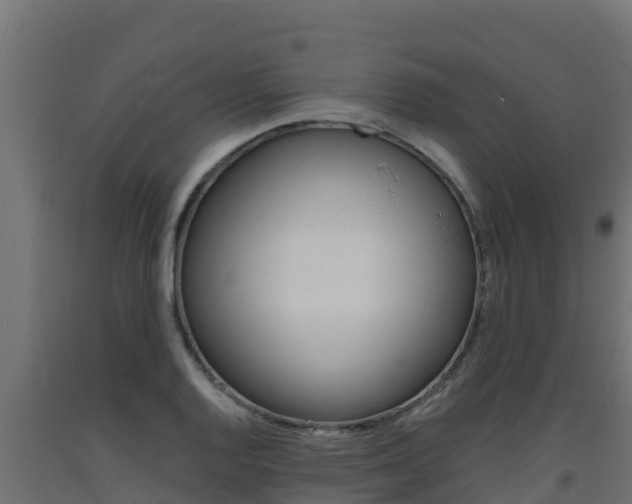 X0000093731128200710160807