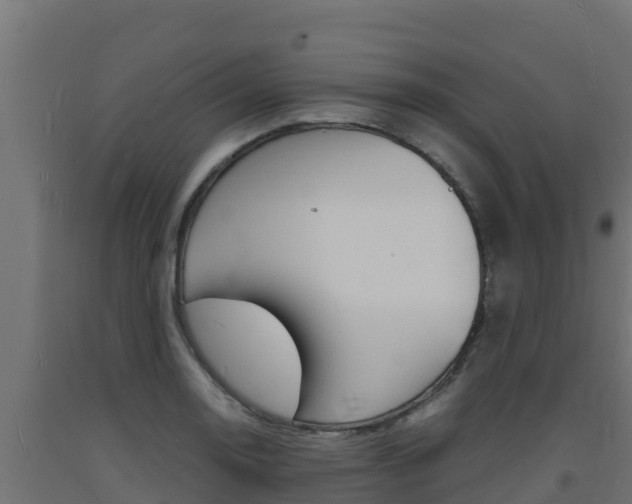 X0000093731130200710160807