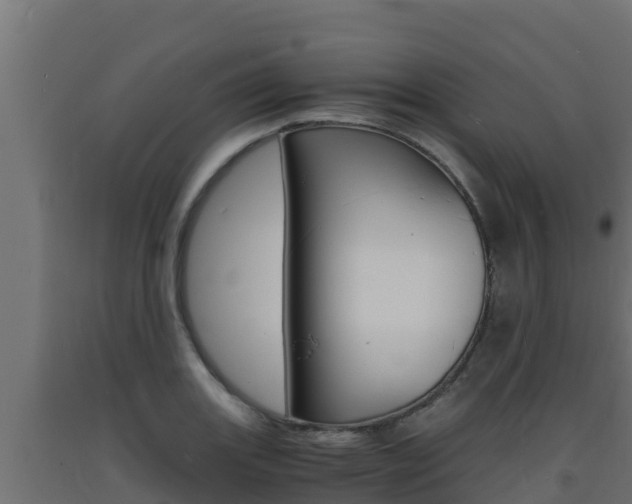 X0000093731131200710160807