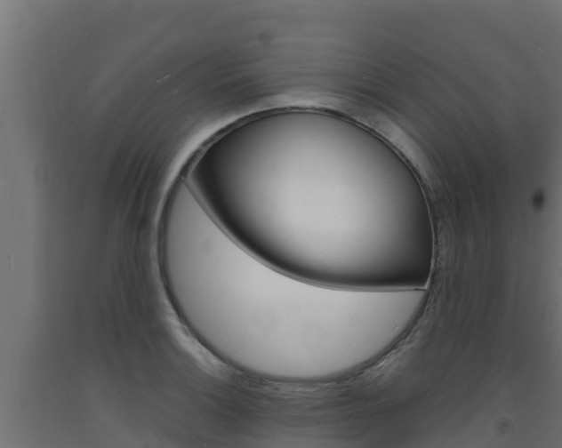 X0000093731132200710160807