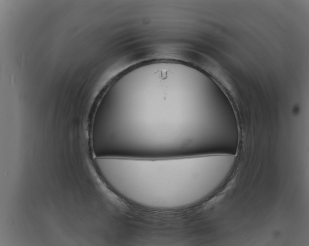 X0000093731133200710160807