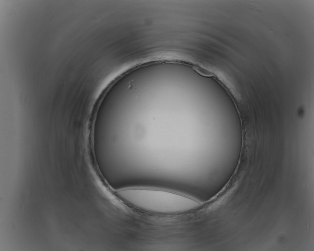 X0000093731134200710160807