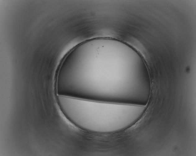 X0000093731135200710160807