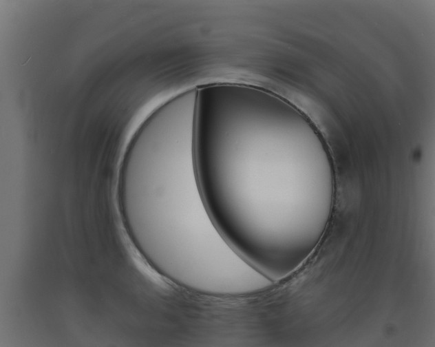 X0000093731136200710160807
