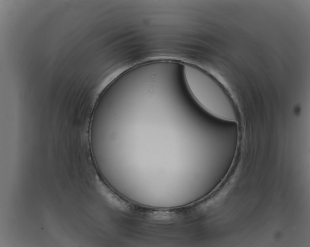 X0000093731137200710160807