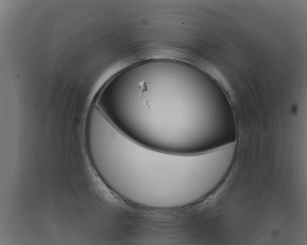 X0000093731138200710160807