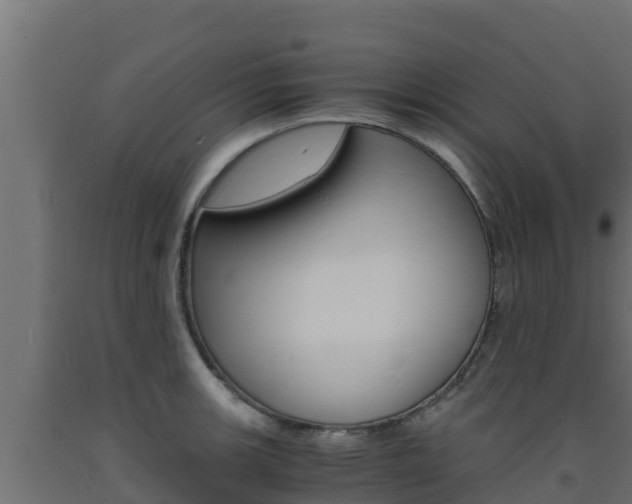 X0000093731139200710160807
